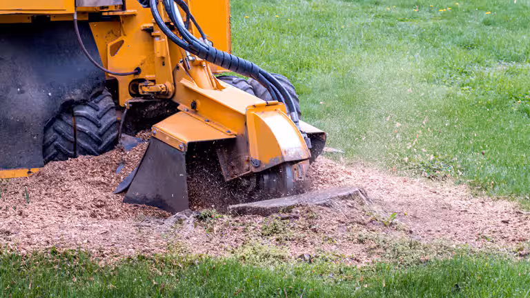 Tree services Canberra