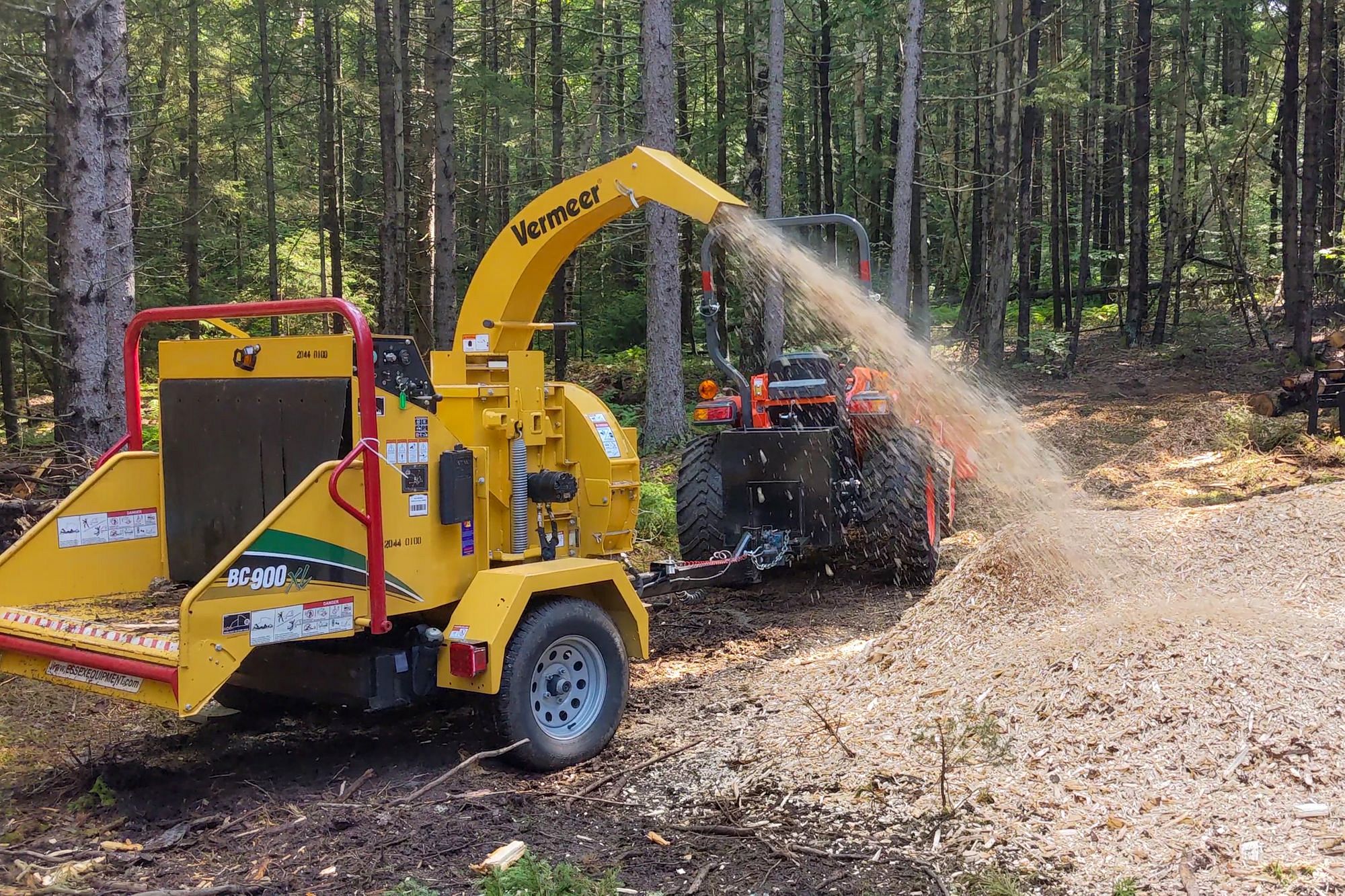 Tree service Canberra