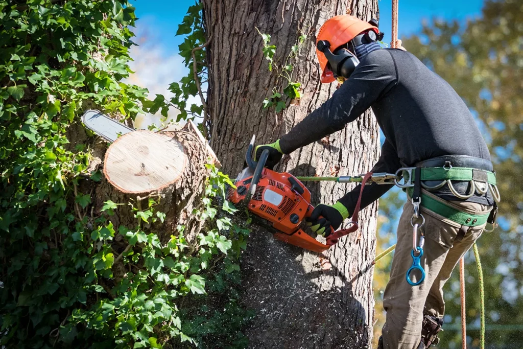 Tree Services Flynn