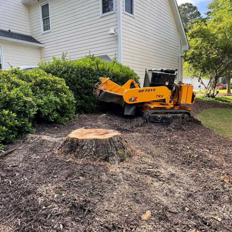 Stump Grinding Canberra